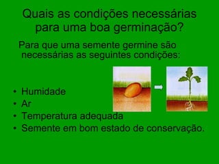 Quais as condições necessárias para uma boa germinação? Para que uma semente germine são necessárias as seguintes condições: Humidade Ar Temperatura adequada Semente em bom estado de conservação. 