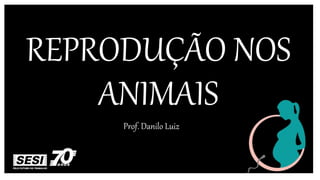 REPRODUÇÃO NOS
ANIMAIS
Prof. Danilo Luiz
 