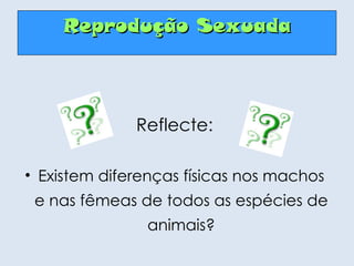 Reflecte: Existem diferenças físicas nos machos e nas fêmeas de todos as espécies de animais? Reprodução Sexuada 