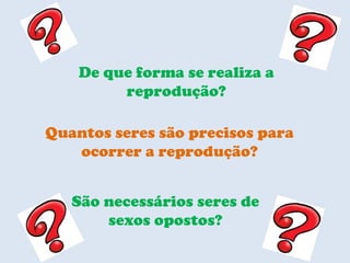 De que forma se realiza a reprodução? Quantos seres são precisos para ocorrer a reprodução? São necessários seres de sexos opostos? 