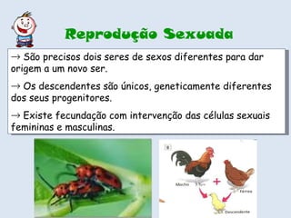 São precisos dois seres de sexos diferentes para dar origem a um novo ser. Os descendentes são únicos, geneticamente diferentes dos seus progenitores. Existe fecundação com intervenção das células sexuais femininas e masculinas.  Reprodução Sexuada 