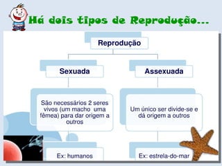 Há dois tipos de Reprodução… 