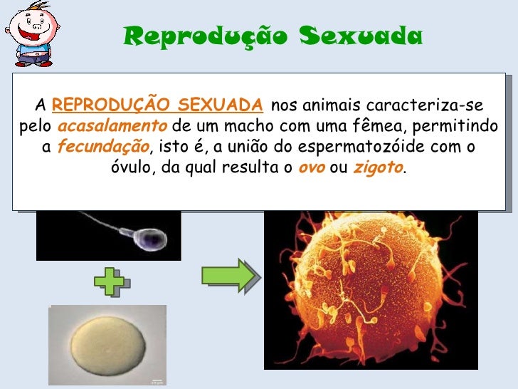 Quando Falamos Em Reprodução Sexuada Podemos Afirmar Com Certeza Que