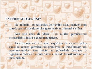 Fase de Crescimento sem divisões celulares.
