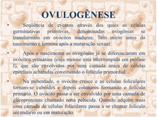 Gametogênese (espermatogênese)MitosesPeríodogerminativo2nMitose2n2nPeríodo de crescimentoCrescimentosem divisãocelularEspermatogônia2nEspermatócito I (2n)MeiosennPeríodo de maturaçãoEspermatócitos II (n cromossomos duplicados)nnnnEspermátides(n)Período de diferenciaçãoEspermatozóidesnnnnCélulas germinativas (2n)