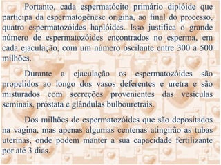 EspermiogêneseESPERMATOGÊNESE:	Na infância - os testículos do menino estão inativos com grande quantidade de células germinativas primordiais (2n).	Aos sete anos de idade - as células germinativas primordiais iniciam a espermatogênese.	Espermatogênese - É uma seqüência de eventos pelos quais as células germinativas primitivas se transformam em espermatozoides, tem início na puberdade (quando o organismo começa a secretar altos níveis de testosterona) e vai até a velhice.