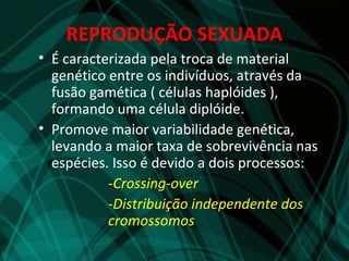 REPRODUÇÃO SEXUADA
• É caracterizada pela troca de material
  genético entre os indivíduos, através da
  fusão gamética ( células haplóides ),
  formando uma célula diplóide.
• Promove maior variabilidade genética,
  levando a maior taxa de sobrevivência nas
  espécies. Isso é devido a dois processos:
           -Crossing-over
           -Distribuição independente dos
           cromossomos
 