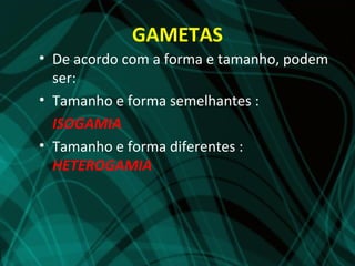 GAMETAS
• De acordo com a forma e tamanho, podem
  ser:
• Tamanho e forma semelhantes :
  ISOGAMIA
• Tamanho e forma diferentes :
  HETEROGAMIA
 