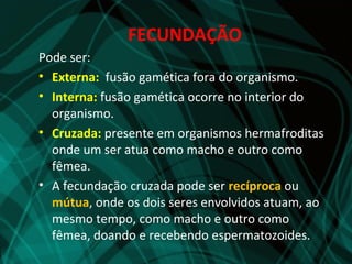 FECUNDAÇÃO
Pode ser:
• Externa: fusão gamética fora do organismo.
• Interna: fusão gamética ocorre no interior do
  organismo.
• Cruzada: presente em organismos hermafroditas
  onde um ser atua como macho e outro como
  fêmea.
• A fecundação cruzada pode ser recíproca ou
  mútua, onde os dois seres envolvidos atuam, ao
  mesmo tempo, como macho e outro como
  fêmea, doando e recebendo espermatozoides.
 