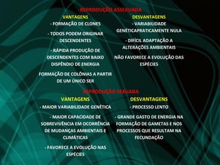 REPRODUÇÃO ASSEXUADA
         VANTAGENS                     DESVANTAGENS
    - FORMAÇÃO DE CLONES               - VARIABILIDADE
                                 GENÉTICAPRATICAMENTE NULA
   - TODOS PODEM ORIGINAR
        DESCENDENTES                 - DIFÍCIL ADAPTAÇÃO A
                                    ALTERAÇÕES AMBIENTAIS
    - RÁPIDA PRODUÇÃO DE
   DESCENDENTES COM BAIXO        NÃO FAVORECE A EVOLUÇÃO DAS
     DISPÊNDIO DE ENERGIA                 ESPÉCIES

FORMAÇÃO DE COLÔNIAS A PARTIR
      DE UM ÚNICO SER

               REPRODUÇÃO SEXUADA
        VANTAGENS              DESVANTAGENS
- MAIOR VARIABILIDADE GENÉTICA         - PROCESSO LENTO

   - MAIOR CAPACIDADE DE         - GRANDE GASTO DE ENERGIA NA
SOBREVIVÊNCIA EM OCORRÊNCIA       FORMAÇÃO DE GAMETAS E NOS
 DE MUDANÇAS AMBIENTAIS E         PROCESSOS QUE RESULTAM NA
         CLIMÁTICAS                      FECUNDAÇÃO

  - FAVORECE A EVOLUÇÃO NAS
           ESPÉCIES
 