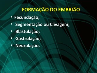 FORMAÇÃO DO EMBRIÃO
•   Fecundação;
•   Segmentação ou Clivagem;
•   Blastulação;
•   Gastrulação;
•   Neurulação.
 