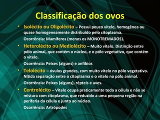Classificação dos ovos
• Isolécito ou Oligolécito – Possui pouco vitelo, homogênea ou
   quase homogeneamente distribuído pelo citoplasma.
   Ocorrência: Mamíferos (menos os MONOTREMADOS).
• Heterolécito ou Mediolécito – Muito vitelo. Distinção entre
   pólo animal, que contém o núcleo, e o pólo vegetativo, que contém
   o vitelo.
   Ocorrência: Peixes (alguns) e anfíbios
• Telolécito – óvulos grandes, com muito vitelo no pólo vegetativo.
   Nítida separação entre o citoplasma e o vitelo no pólo animal.
   Ocorrência: Peixes (alguns), répteis e aves.
• Centrolécito – Vitelo ocupa praticamente toda a célula e não se
   mistura com citoplasma, que reduzido a uma pequena região na
   periferia da célula e junto ao núcleo.
   Ocorrência: Artrópodes
 