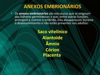 ANEXOS EMBRIONÁRIOS
• Os anexos embrionários são estruturas que se originam
  dos folhetos germinativos e que, entre outras funções,
  protegem e nutrem o embrião. Eles desaparecem durante
  o desenvolvimento e não estão presentes nos adultos:

                  Saco vitelínico
                    Alantoide
                     Âmnio
                     Córion
                    Placenta
 