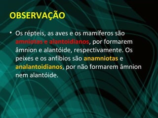OBSERVAÇÃO
• Os répteis, as aves e os mamíferos são
  amniotas e alantoidianos, por formarem
  âmnion e alantóide, respectivamente. Os
  peixes e os anfíbios são anamniotas e
  analantoidianos, por não formarem âmnion
  nem alantóide.
 