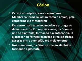 Córion
• Ocorre nos répteis, aves e mamíferos.
  Membrana formada, assim como o âmnio, pela
  ectoderme e a mesoderme.
• É o anexo mais externo; envolve e protege os
  demais anexos. Em répteis e aves, o córion se
  une ao alantóide, formando o alantocórion. O
  alantocórion fornece proteção e realiza trocas
  gasosas entre o embrião e o meio externo.
• Nos mamíferos, o córion se une ao alantóide
  formando a placenta.
 