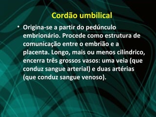 Cordão umbilical
• Origina-se a partir do pedúnculo
  embrionário. Procede como estrutura de
  comunicação entre o embrião e a
  placenta. Longo, mais ou menos cilíndrico,
  encerra três grossos vasos: uma veia (que
  conduz sangue arterial) e duas artérias
  (que conduz sangue venoso).
 