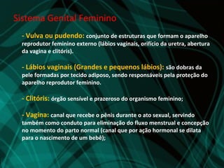 Sistema Genital Feminino
 - Vulva ou pudendo: conjunto de estruturas que formam o aparelho
 reprodutor feminino externo (lábios vaginais, orifício da uretra, abertura
 da vagina e clitóris).

 - Lábios vaginais (Grandes e pequenos lábios): são dobras da
 pele formadas por tecido adiposo, sendo responsáveis pela proteção do
 aparelho reprodutor feminino.

 - Clitóris: órgão sensível e prazeroso do organismo feminino;

 - Vagina: canal que recebe o pênis durante o ato sexual, servindo
 também como conduto para eliminação do fluxo menstrual e concepção
 no momento do parto normal (canal que por ação hormonal se dilata
 para o nascimento de um bebê);
 