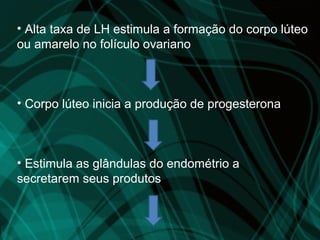 • Alta taxa de LH estimula a formação do corpo lúteo
ou amarelo no folículo ovariano



• Corpo lúteo inicia a produção de progesterona



• Estimula as glândulas do endométrio a
secretarem seus produtos
 