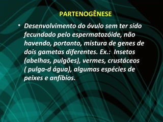 PARTENOGÊNESE
• Desenvolvimento do óvulo sem ter sido
  fecundado pelo espermatozóide, não
  havendo, portanto, mistura de genes de
  dois gametas diferentes. Ex.: Insetos
  (abelhas, pulgões), vermes, crustáceos
  ( pulga-d água), algumas espécies de
  peixes e anfíbios.
 