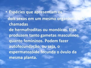 Espécies que apresentam os  dois sexos em um mesmo organismo são chamadas de hermafroditas ou monóicas. Elas produzem tanto gametas masculinos quanto femininos. Podem fazer autofecundação, ou seja, o espermatozóide fecunda o óvulo da mesma planta. 