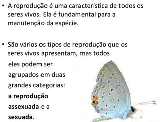 A reprodução é uma característica de todos os seres vivos. Ela é fundamental para a manutenção da espécie. São vários os tipos de reprodução que os seres vivos apresentam, mas todos eles podem ser  agrupados em duas  grandes categorias:    a reprodução   assexuada  e a sexuada . 