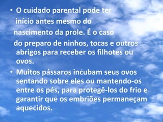 O cuidado parental pode ter  início antes mesmo do  nascimento da prole. É o caso  do preparo de ninhos, tocas e outros abrigos para receber os filhotes ou ovos.  Muitos pássaros incubam seus ovos sentando sobre eles ou mantendo-os entre os pés, para protegê-los do frio e garantir que os embriões permaneçam aquecidos. 