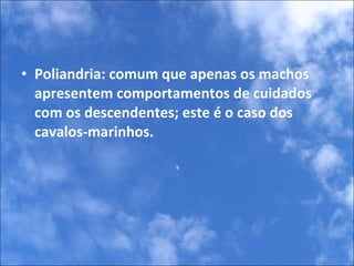 Poliandria: comum que apenas os machos apresentem comportamentos de cuidados com os descendentes; este é o caso dos cavalos-marinhos. 