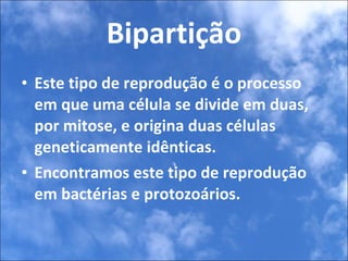 Bipartição Este tipo de reprodução é o processo em que uma célula se divide em duas, por mitose, e origina duas células geneticamente idênticas.  Encontramos este tipo de reprodução em bactérias e protozoários. 