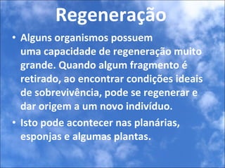 Regeneração Alguns organismos possuem uma capacidade de regeneração muito grande. Quando algum fragmento é retirado, ao encontrar condições ideais de sobrevivência, pode se regenerar e dar origem a um novo indivíduo.  Isto pode acontecer nas planárias, esponjas e algumas plantas. 