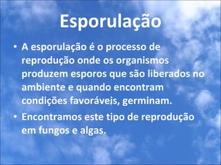 Esporulação A esporulação é o processo de reprodução onde os organismos produzem esporos que são liberados no ambiente e quando encontram condições favoráveis, germinam.  Encontramos este tipo de reprodução em fungos e algas. 