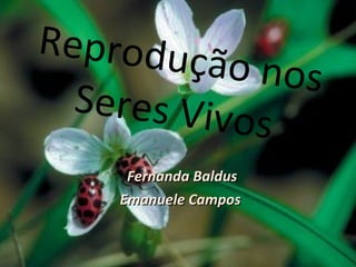 Reprodução nos Seres Vivos Fernanda Baldus Emanuele Campos  