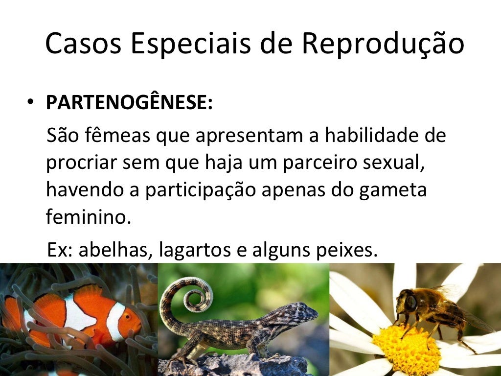 Diversas Espécies De Seres Vivos Se Reproduzem