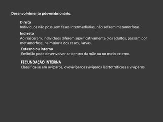 Desenvolvimento pós-embrionário: Direto Indivíduos não possuem fases intermediárias, não sofrem metamorfose. Indireto Ao nascerem, indivíduos diferem significativamente dos adultos, passam por metamorfose, na maioria dos casos, larvas. Externo ou interno Embrião pode desenvolver-se dentro da mãe ou no meio externo. FECUNDAÇÃO INTERNA Classifica-se em ovíparos, ovovivíparos (vivíparos lecitotróficos) e vivíparos 