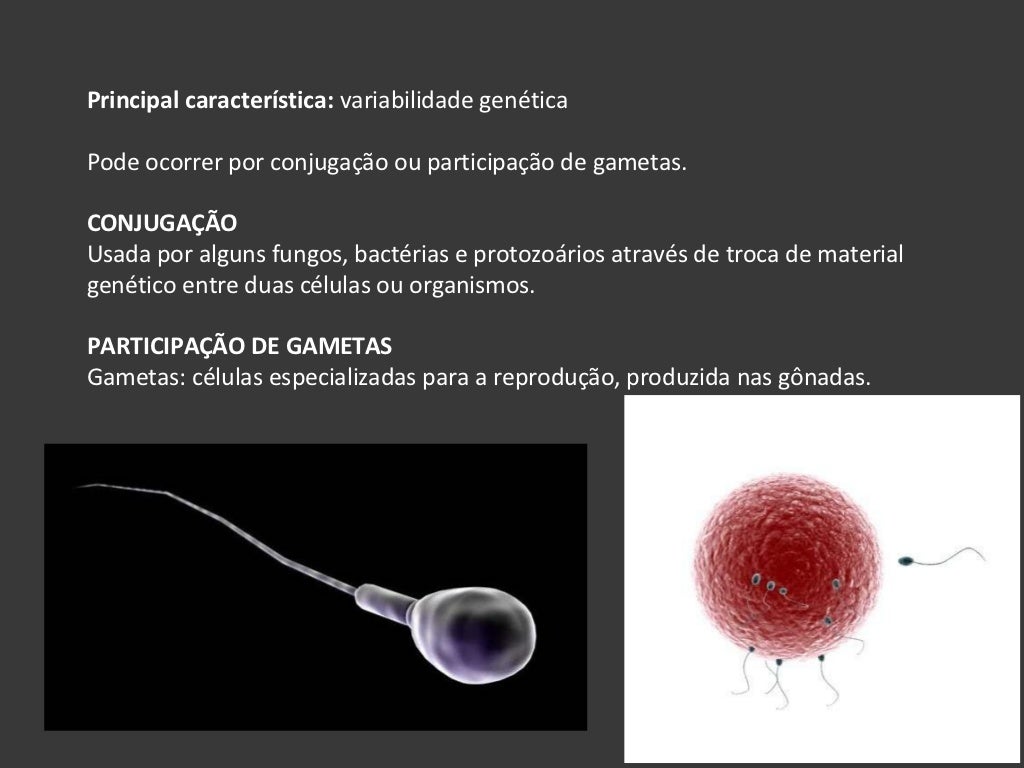 Quando Falamos Em Reprodução Sexuada Podemos Afirmar Com Certeza Que