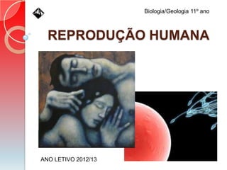 REPRODUÇÃO HUMANA
ANO LETIVO 2012/13
Biologia/Geologia 11º ano
 