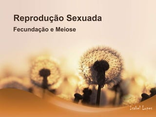 Reprodução Sexuada
Fecundação e Meiose




                      Isabel Lopes
 
