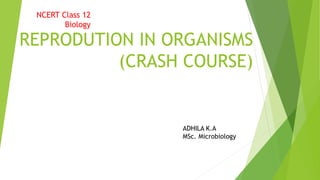 REPRODUTION IN ORGANISMS
(CRASH COURSE)
NCERT Class 12
Biology
ADHILA K.A
MSc. Microbiology
 
