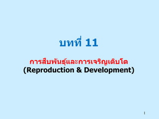 บทที่ 11
      ื
  การสบพ ันธุและการเจริญเติบโต
             ์
(Reproduction & Development)




                                 1
 