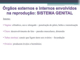 Interno:
• Vagina: cilíndrico, oco e alongado – penetração do pênis, bebes e menstruação
• Útero: desenvolvimento do feto – paredes musculares, distensão
• Tubas uterinas: canais que ligam útero aos ovários – fecundação
• Ovários: produzem óvulos e hormônios
 