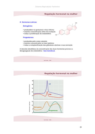 Sistema Reprodutor Feminino




                              21
 