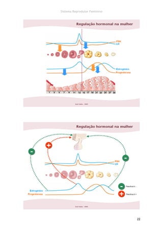 Sistema Reprodutor Feminino




                              22
 