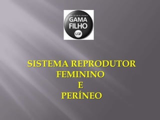 SISTEMA REPRODUTOR FEMININO  E  PERÍNEO 