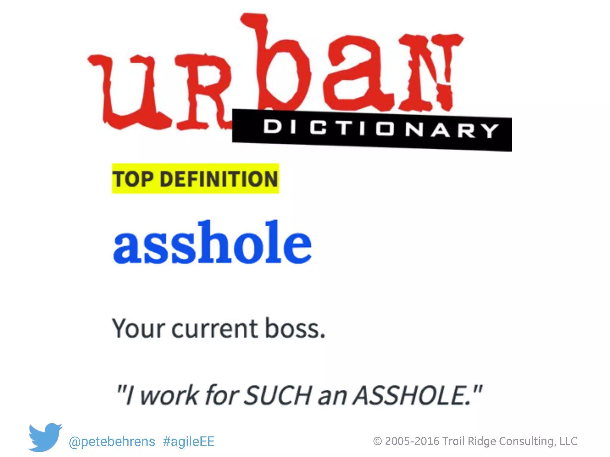 © 2005-2016 Trail Ridge Consulting, LLC@petebehrens #agileEE
 