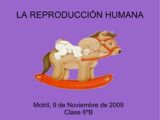 LA REPRODUCCIÓN HUMANA Motril, 9 de Noviembre de 2009 Clase 6ºB 