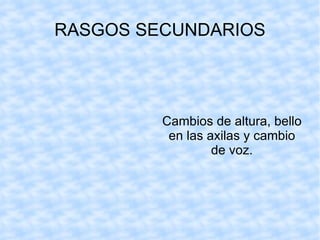 RASGOS SECUNDARIOS Cambios de altura, bello en las axilas y cambio de voz.