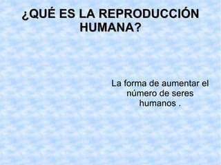¿QUÉ ES LA REPRODUCCIÓN HUMANA? La forma de aumentar el número de seres humanos .