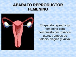 APARATO REPRODUCTOR FEMENINO El aparato reproductor femenino esta compuesto por :ovarios, útero, trompas de falopio, vagina y vulva.