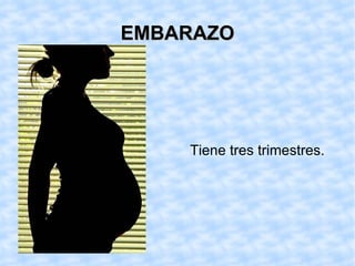 EMBARAZO Tiene tres trimestres.