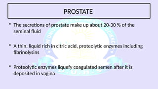 Prostrate Fluid Repro Mod - Anatomy - Histology of prostate , Seminal Vesicles and ...