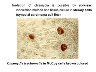 Isolation of chlamydia is possible by yolk-sac
inoculation method and tissue culture in McCoy cells
(synovial carcinoma cell line)
Chlamydia trachomatis in McCoy cells brown colored
 